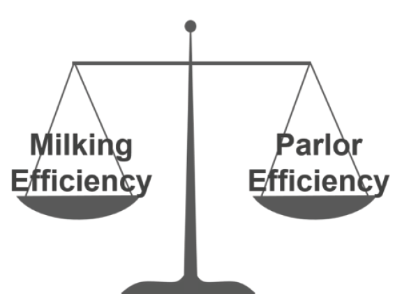 milking-parlor efficience balance